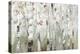 White Birch Forest-Allison Pearce-Stretched Canvas