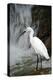 White Bird with Waterfall. Heron in the River. Bird in the Rock Habitat with Water. Wildlife Scene-Ondrej Prosicky-Premier Image Canvas