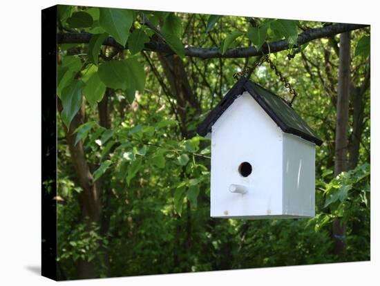 White Birdhouse-Anna Miller-Premier Image Canvas