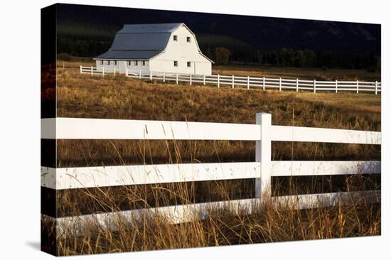 White Bitterroot Barn-Jason Savage-Stretched Canvas