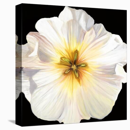 White Bloom I-Sandra Iafrate-Stretched Canvas