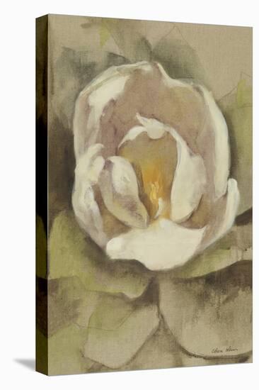 White Blossom Crop-Cheri Blum-Stretched Canvas