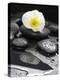 White Blossom on Black Stones-Uwe Merkel-Premier Image Canvas