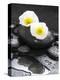 White Blossoms on Black Stones-Uwe Merkel-Premier Image Canvas