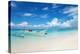 White Boat on A Tropical Beach-and.one-Premier Image Canvas