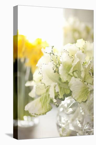 White Bouquet-Karyn Millet-Premier Image Canvas