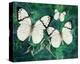 White Butterfly Fantasy-Melinda Bradshaw-Stretched Canvas