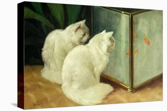 White Cats Watching Goldfish-Arthur Heyer-Premier Image Canvas