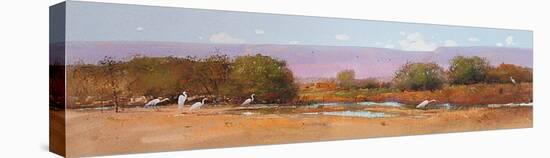 White Cattle Egrets-Tom Perkinson-Stretched Canvas