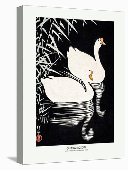 White Chinese Geese Swimming by Reeds-Ohara Koson-Premier Image Canvas