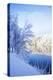 White Christmas-Kimberly Glover-Premier Image Canvas