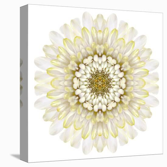 White Chrysathemum Mandala Flower Kaleidoscopic-tr3gi-Stretched Canvas