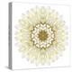 White Chrysathemum Mandala Flower Kaleidoscopic-tr3gi-Stretched Canvas