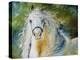 White Cloud the Andlusian Stallion-Marcia Baldwin-Stretched Canvas