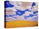 White Clouds Over Wheat Field-Darrell Gulin-Premier Image Canvas