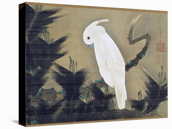White Cockatoo on a Pine Branch-Ito Jakuchu-Premier Image Canvas