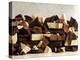 White, Dark and Milk Chocolate Pieces-Tom Eckerle-Premier Image Canvas