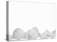 White Egg Shells-Martina Schindler-Premier Image Canvas