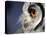 White-faced Scops Owl Eye-Linda Wright-Premier Image Canvas
