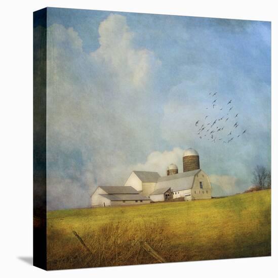 White Farm-Dawne Polis-Stretched Canvas