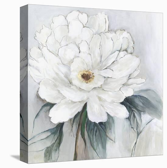 White Floral Bloom I-Asia Jensen-Stretched Canvas