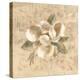 White Floral III-Cheri Blum-Stretched Canvas