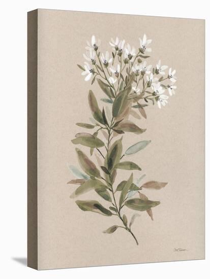 White Floral Stem I-Carol Robinson-Stretched Canvas