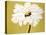 White Flower on Ochre-Soraya Chemaly-Premier Image Canvas