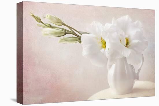 White Flowers in a Vase-egal-Premier Image Canvas