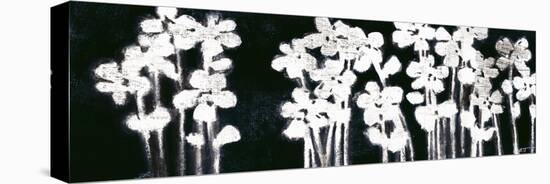 White Flowers on Black I-Norman Wyatt Jr.-Stretched Canvas
