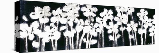 White Flowers on Black II-Norman Wyatt Jr.-Stretched Canvas