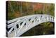 White Footbridge, Autumn, Somesville, Mount Desert Island, Maine, Usa-Michel Hersen-Premier Image Canvas