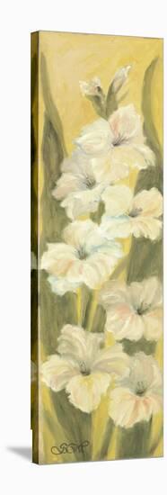 White Gladiolus-Shari White-Stretched Canvas