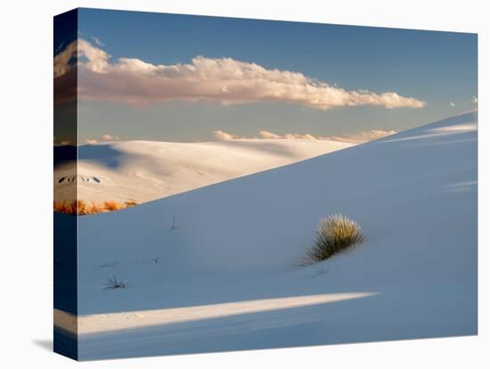 White gypsum dunes with yuccas (Yucca elata), White Sands National Monument, New Mexico, USA-Panoramic Images-Premier Image Canvas
