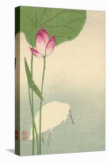White Heron and Lotus-Baison-Stretched Canvas