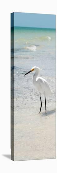 White Heron - Florida-Philippe Hugonnard-Premier Image Canvas