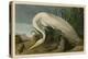 White Heron-John James Audubon-Stretched Canvas