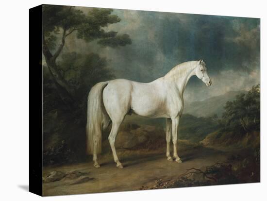 White Horse in a Wooded Landscape, 1791-Sawrey Gilpin-Premier Image Canvas