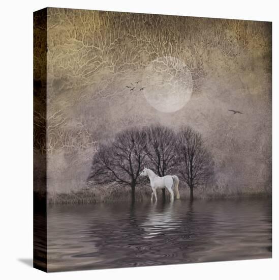 White Horse in Pond-Dawne Polis-Stretched Canvas