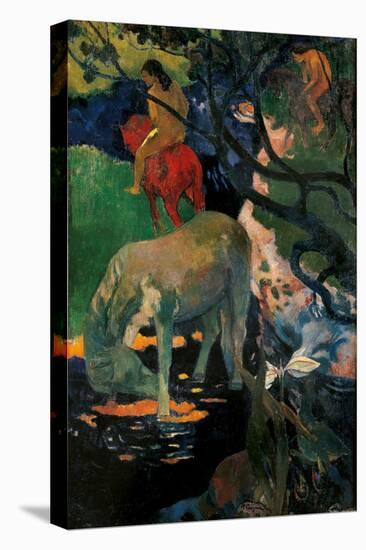 White Horse-Paul Gauguin-Stretched Canvas