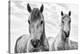 White Horses, Camargue, France-Nadia Isakova-Stretched Canvas