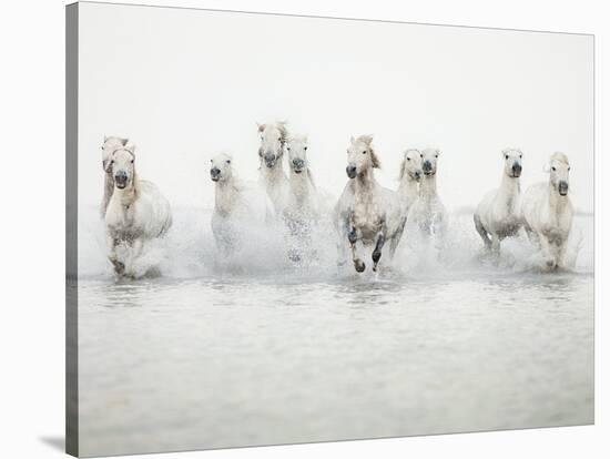 White Horses I-Irene Suchocki-Stretched Canvas