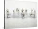 White Horses I-Irene Suchocki-Stretched Canvas