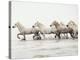 White Horses II-Irene Suchocki-Stretched Canvas