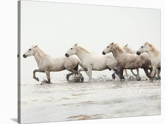 White Horses II-Irene Suchocki-Stretched Canvas