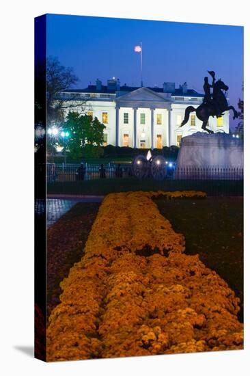 White House with flowers at dusk, Washington DC, USA-null-Premier Image Canvas