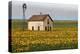 White House with Sunflowers-Chris Vest-Stretched Canvas