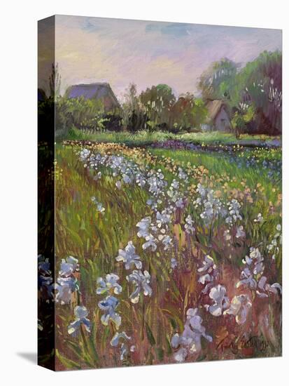 White Irises and Farmstead-Timothy Easton-Premier Image Canvas