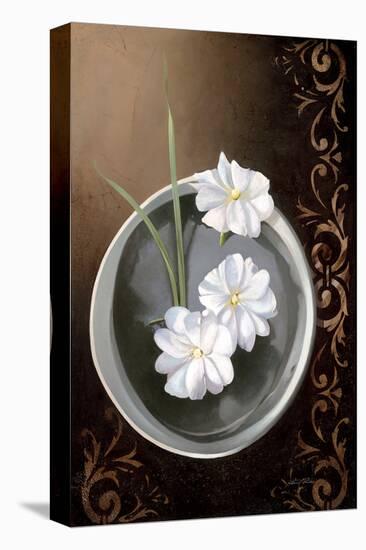 White Jasmine-Gerard Beauvoir-Stretched Canvas