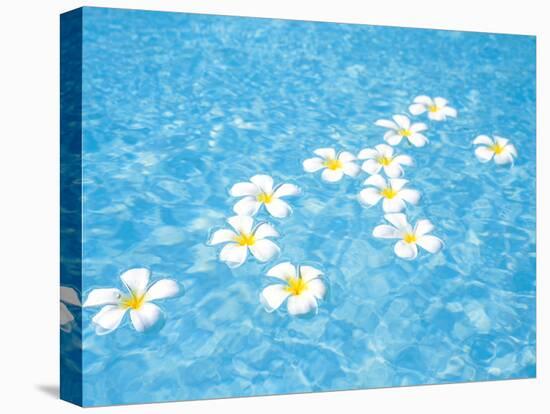 White Jasmines Floating on Water-null-Premier Image Canvas